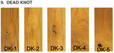 Dead Knot Teak Tree