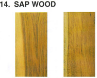 Sap Wood Teak