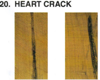 Heart Crack