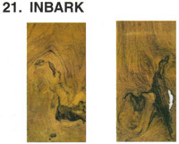 Teak Wood INBARK