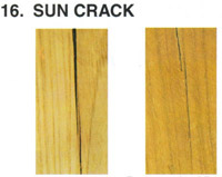 Teak Wood Sun Crack