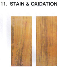 Stain & Oxidation