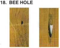 Teak Wood Bee Hole